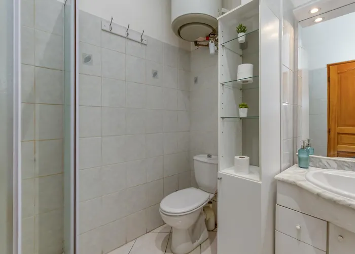 דירה Aisance•confort•gare•netflix גרנובל