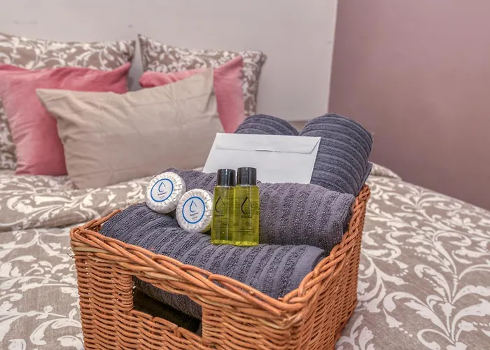 Aisance•confort•gare•netflix דירה