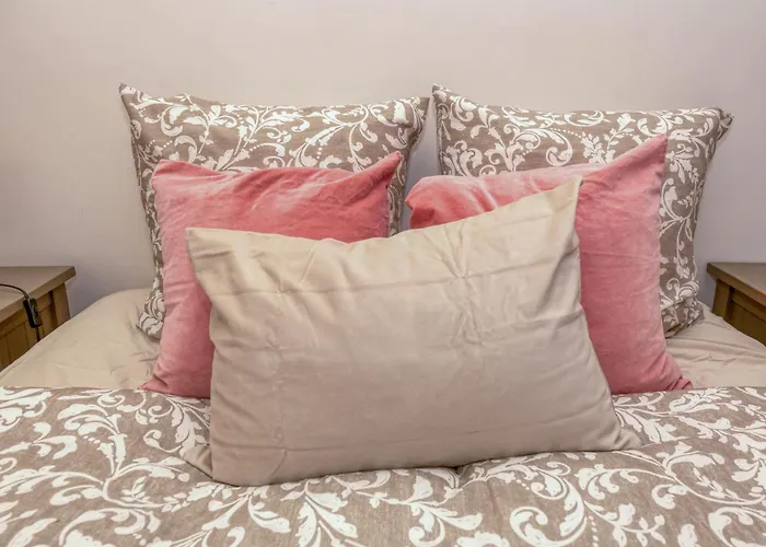 Aisance•confort•gare•netflix 格勒诺布尔